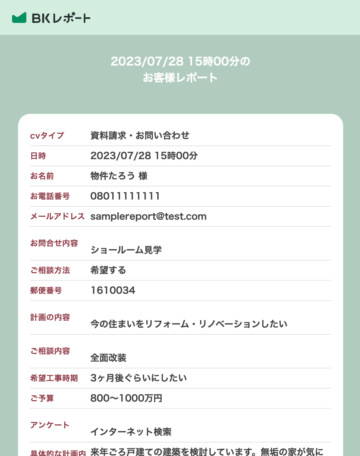 BKレポートのサンプルレポート（お客様情報）
